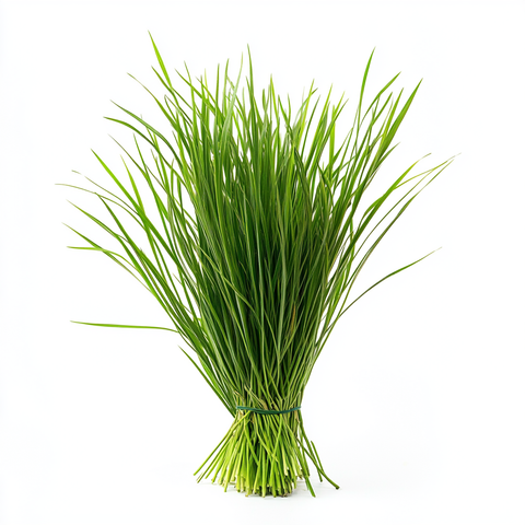 VETIVER ACETATE