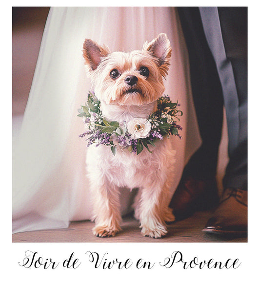 F#25: JOIE DE VIVRE EN PROVENCE