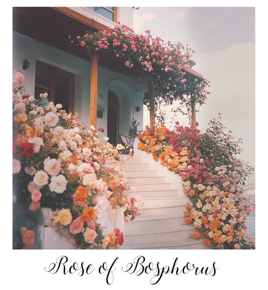 F#6: ROSE OF BOSPHORUS